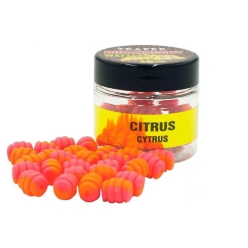 Traper M/F Wafter Duo Magot 10mm 25gr Citrus