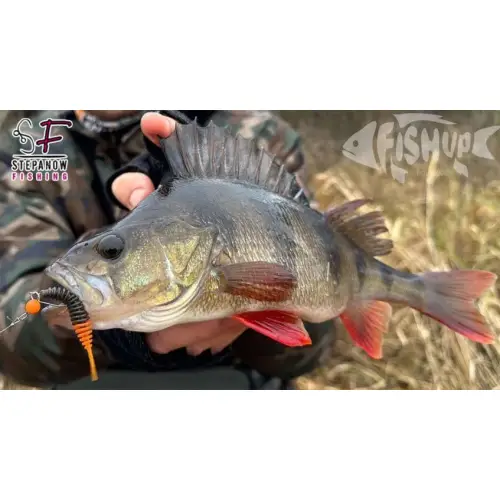 FishUP Tanta 3” 6pcs #060 Dark Violet Peacock Silv
