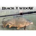 Wedka Daiwa Black Widow XT Carp 3.60m 3,5lb G50