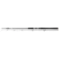 Wedka Daiwa BG OFFSHORE 240cm 40-125g