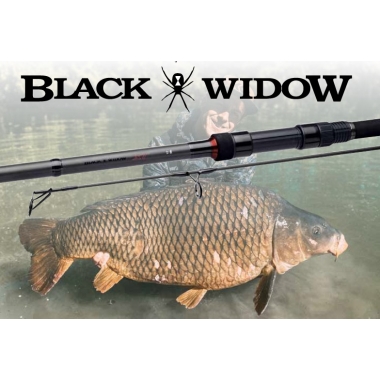 Wedka Daiwa Black Widow XT Carp 3.60m 3lb G50 2sek