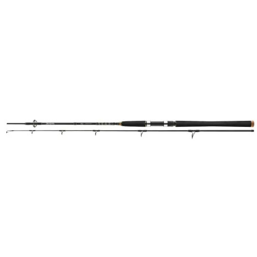 Wedka Daiwa BG OFFSHORE 240cm 40-125g