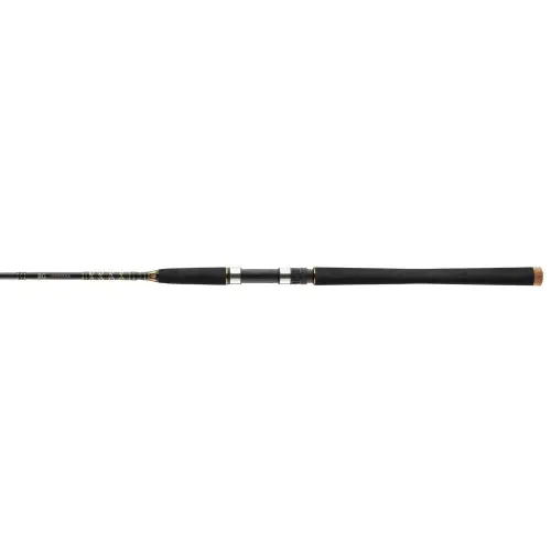 Wedka Daiwa BG OFFSHORE 240cm 40-125g