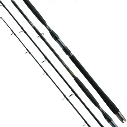 Wedka Daiwa Exceler Catfish 200-600g 3.30m