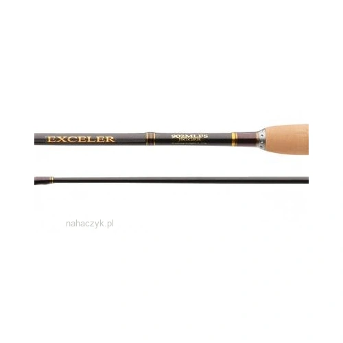 Wedka Daiwa Exceler Spin 1.95m 10-25g