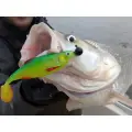 Berkley Pulse Realistic Roach 11cm Bream 12g