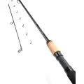 Wedka Daiwa THEORY BARBEL 12'0 2.25lb
