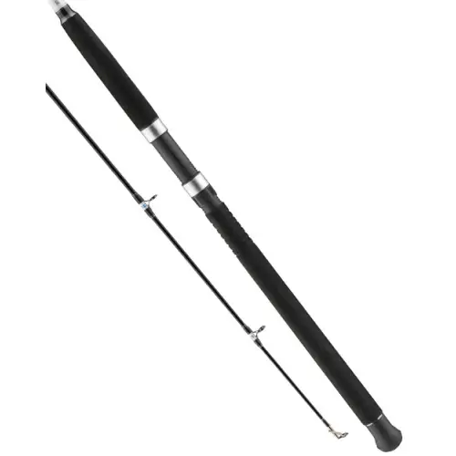 Wedka Cormoran SC BP Power Pilk 2.40m 100-250g