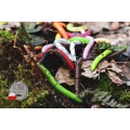 Libra Lures Fatty D Worm 65mm 10szt 038 Brown Kryl