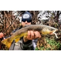 Libra Lures Fatty D Worm 65mm 10szt 038 Brown Kryl