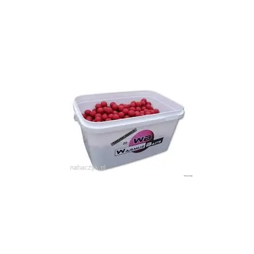 Warmuz Baits Kulki Zanetowe 900g Truskawka Krem 24