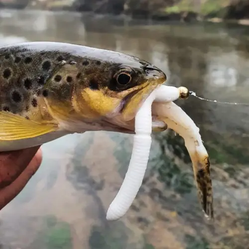Libra Lures Larva 45mm 8szt 001 White Kryl