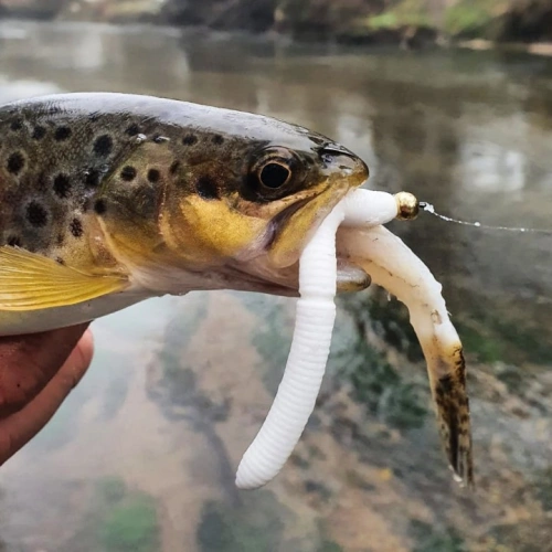 Libra Lures Fatty D Worm 65mm 10szt 038 Brown Kryl