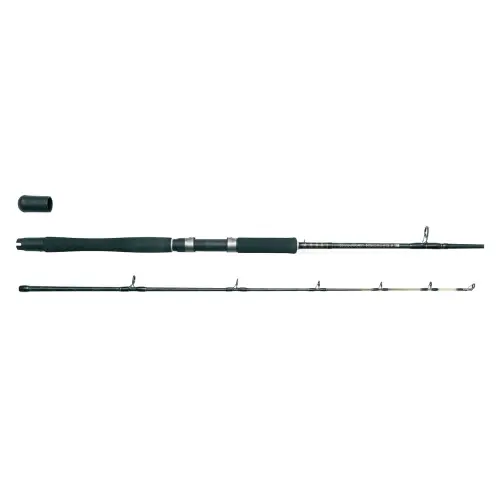 Wedka R.T Hard Core Boat 240cm 20-30lbs 2 sek