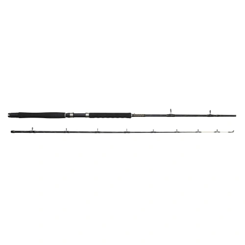 Wedka R.T Hard Core 3 Downrigger 240cm 25lbs 2sek