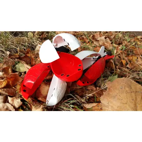 Spider Spomb Polonia