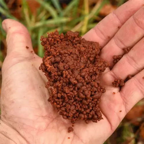 CC MOORE New 500g Krill Micromass