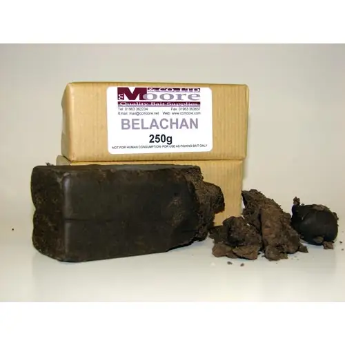 CC MOORE 250g Belachan Block