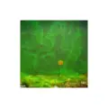 Korda GOO Pineapple Supreme Bait Smoke