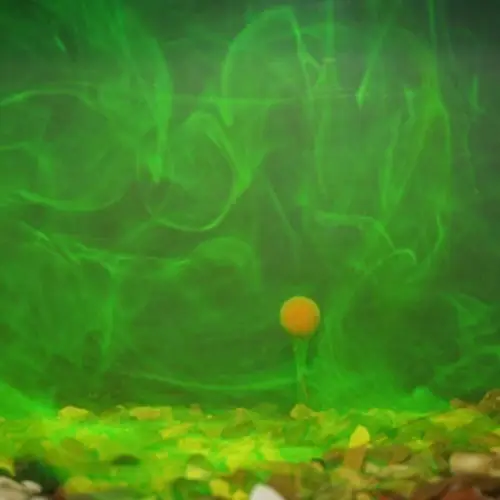 Korda GOO Spicy Squid Power Smoke