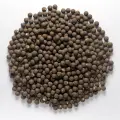 Mivardi Boilies Starter Monster Halibut 3500g 24mm