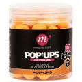 Mainline  Pop-ups Scopex Blackcurrant 15mm