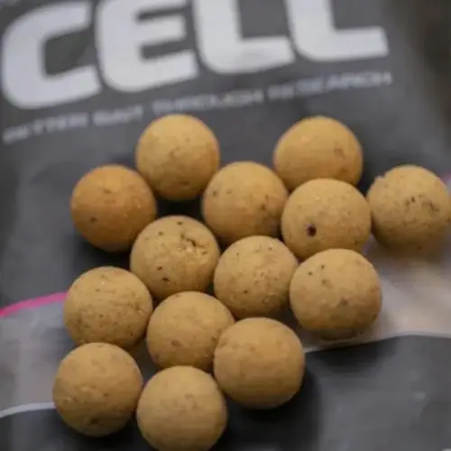 Mainline Shelf Life Boilies Cell 20mm 1kg