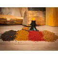 Meus Pellet 4mm Orzech Tygrysi 1kg