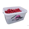 Warmuz Baits Kulki Zanetowe 900g Truskawka Krem 20