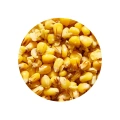 Genlog Ziarno Kukurydza Truskawkowa 1kg