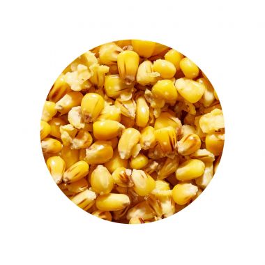 Genlog Ziarno Kukurydza naturalna CORN NATURAL 1kg