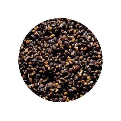 Genlog Ziarna Konopia naturalna gotowana 1kg